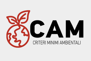 Cam600