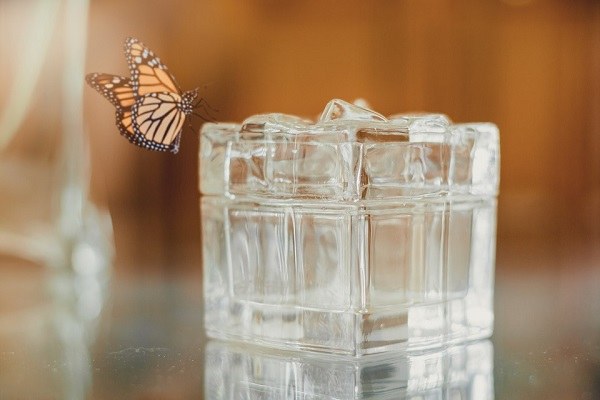 Trasparenza_600x400