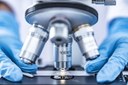 Online “Sistemi analitici per la determinazione di HPV-DNA in prelievi cervico-vaginali 2”