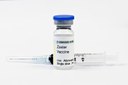 Vaccino contro Herpes-Zoster 2021 “esclusivo”: online la Convenzione