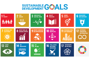 Il contributo di Intercent-ER all’Agenda 2030 e agli Obiettivi di sviluppo sostenibile