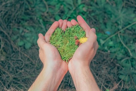 Meno emissioni di CO2 grazie alle Convenzioni di Intercent-ER