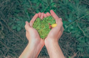 Meno emissioni di CO2 grazie alle Convenzioni di Intercent-ER