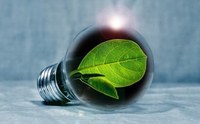Online "Energia Elettrica 19"