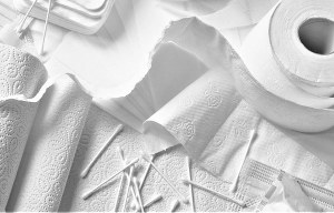 Online "Prodotti cartari, detergenti, cosmetici, accessori per comunità e accessori per la consumazione dei pasti a ridotto impatto ambientale 5"