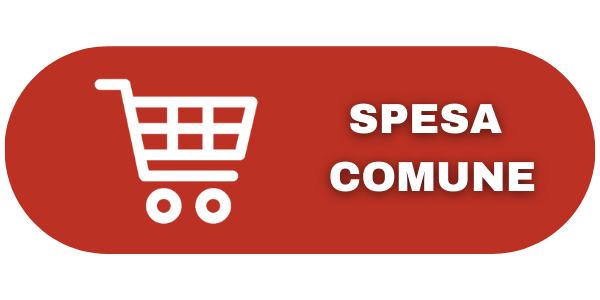 Spesa comune